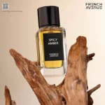 Spicy Amber 100ml Perfume FA Paris Inspired by Matier Premiere Encens Suave - Image 3